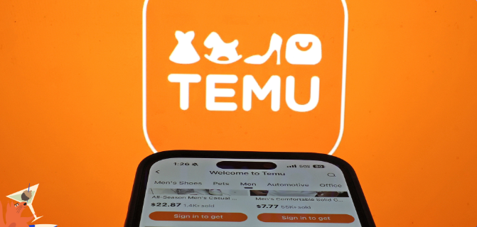 The Real Story Behind Temu, America's Top New App 3