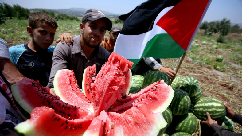 The Symbolism of Watermelon in Palestinian Solidarity 2